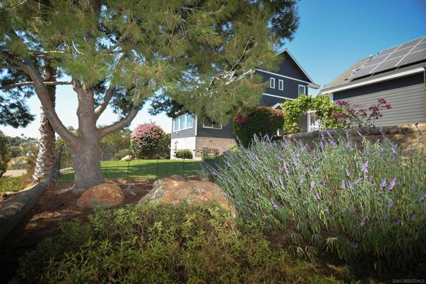 Backyard, Exterior, Solar Panels