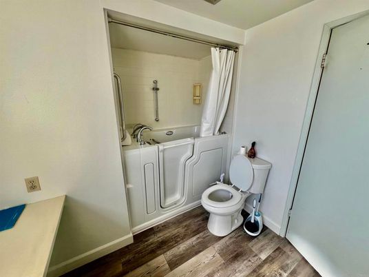 Bathroom, Interior, Wood Texture Flooring