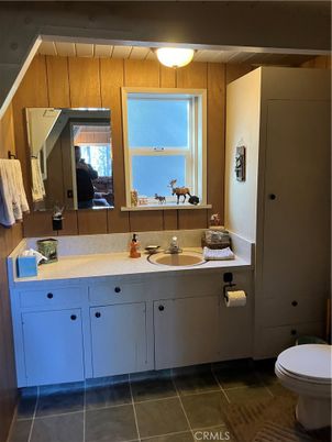 Bathroom, Interior, Wooden Walls