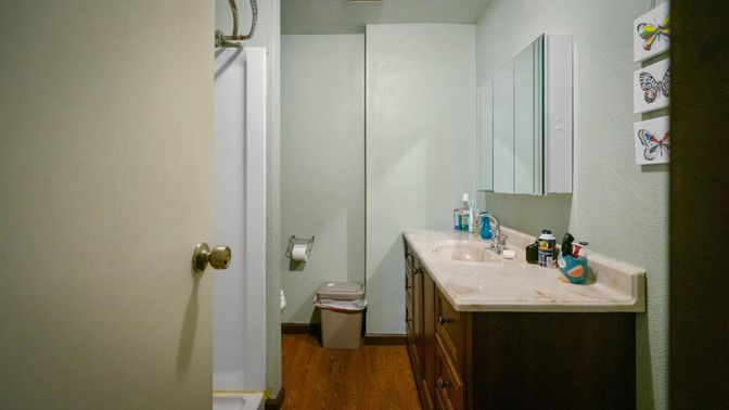 Bathroom, Interior, Wood Texture Flooring