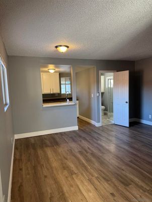 Bathroom, Empty room, Interior, Wood Texture Flooring