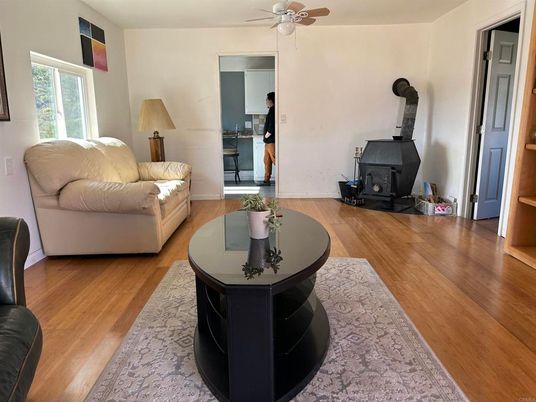 Fireplace, Interior, Wood Texture Flooring