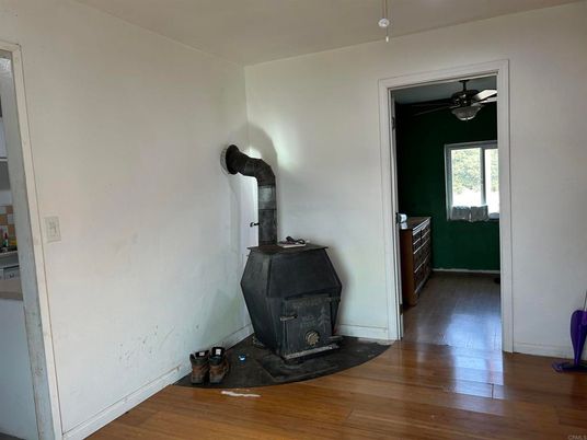 Fireplace, Interior, Wood Texture Flooring
