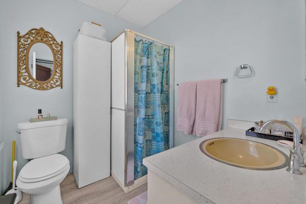 Bathroom, Interior, Wood Texture Flooring