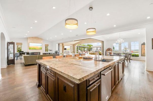 Chandelier, Dining room, Fireplace, Interior, Kitchen, Living room, Pendant Lights, Recessed Lighting, Stainless Steel Appliances, Wood Texture Flooring