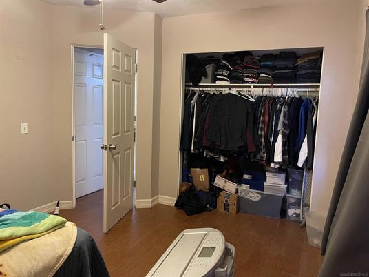 Interior, Walk-in Closets, Wood Texture Flooring