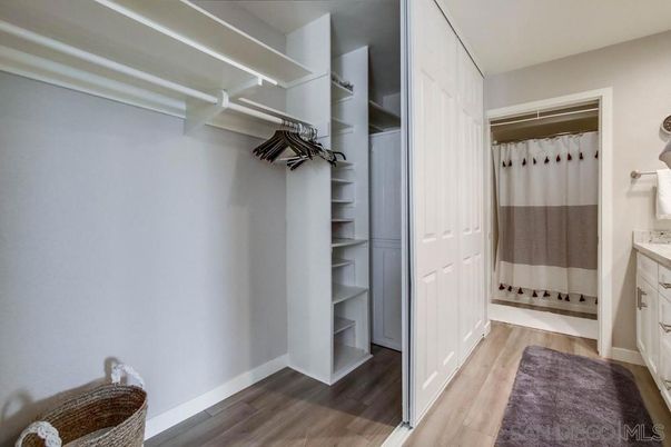 Interior, Walk-in Closets, Wood Texture Flooring