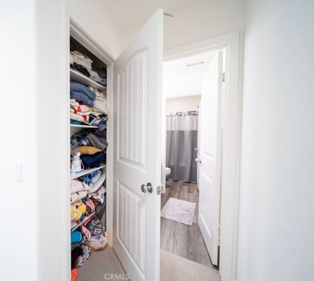 Interior, Walk-in Closets, Wood Texture Flooring