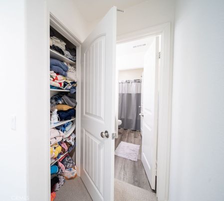 Interior, Walk-in Closets, Wood Texture Flooring