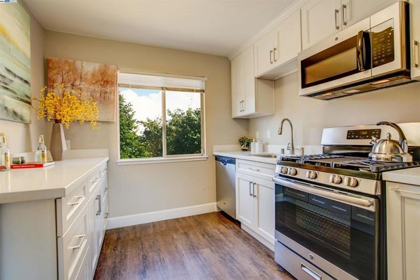 Interior, Kitchen, Stainless Steel Appliances, Wood Texture Flooring