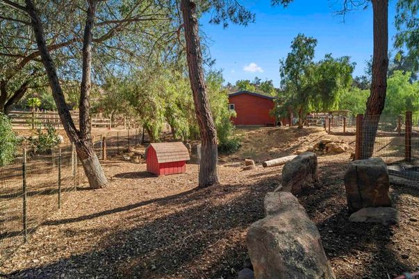 Backyard, Detached Garage, Exterior