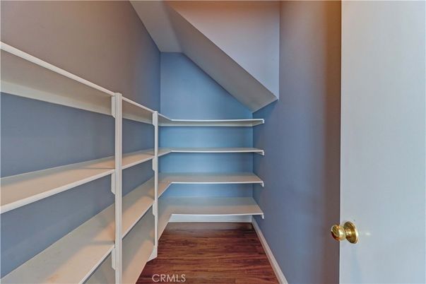 Interior, Walk-in Closets, Wood Texture Flooring