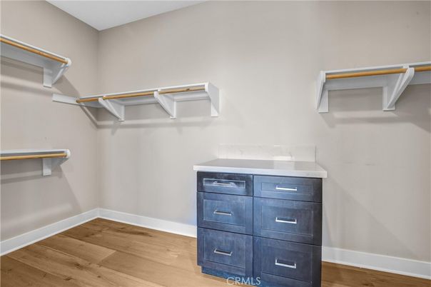 Interior, Walk-in Closets, Wood Texture Flooring
