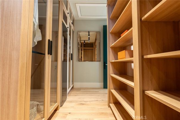 Interior, Walk-in Closets, Wood Texture Flooring