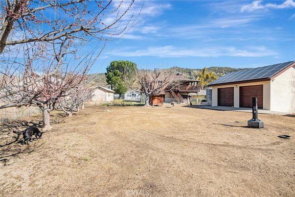Backyard, Exterior, Solar Panels