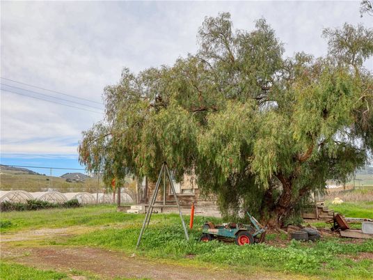 Backyard, Exterior, Water