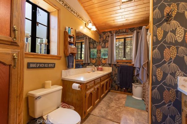 Bathroom, Interior, Wooden Ceilings