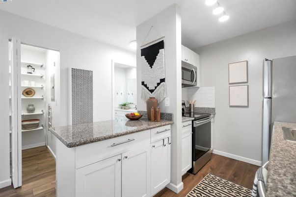 Interior, Kitchen, Stainless Steel Appliances, Wood Texture Flooring