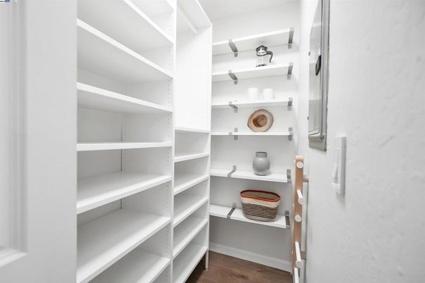 Interior, Walk-in Closets, Wood Texture Flooring