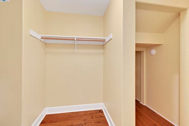 Interior, Walk-in Closets, Wood Texture Flooring