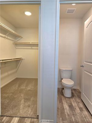 Bathroom, Interior, Recessed Lighting, Walk-in Closets, Wood Texture Flooring