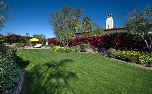 Backyard, Exterior, Playground