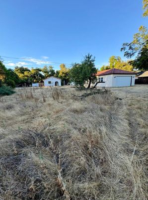 Backyard, Detached Garage, Exterior