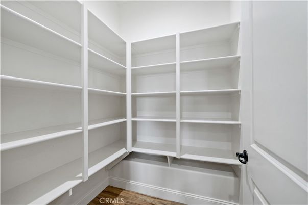 Interior, Walk-in Closets, Wood Texture Flooring