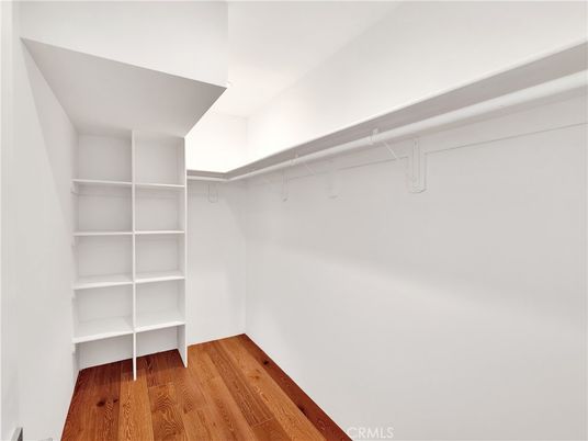 Interior, Walk-in Closets, Wood Texture Flooring