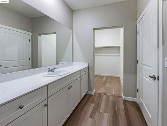 Bathroom, Dual Sink Vanities, Interior, Walk-in Closets, Wood Texture Flooring