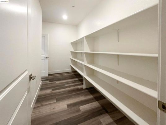 Interior, Recessed Lighting, Walk-in Closets, Wood Texture Flooring