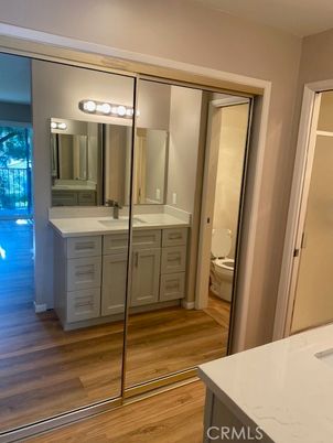 Bathroom, Dual Sink Vanities, Interior, Wood Texture Flooring