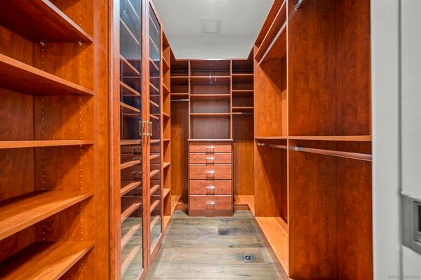 Interior, Walk-in Closets, Wood Texture Flooring