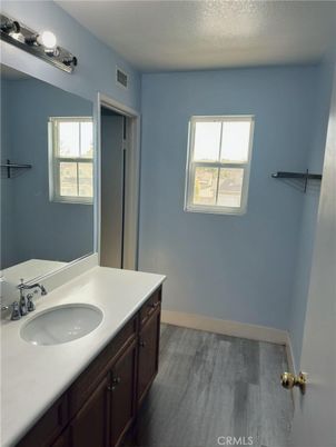 Bathroom, Dual Sink Vanities, Interior, Wood Texture Flooring