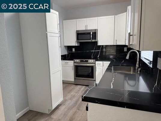 Interior, Kitchen, Stainless Steel Appliances, Wood Texture Flooring