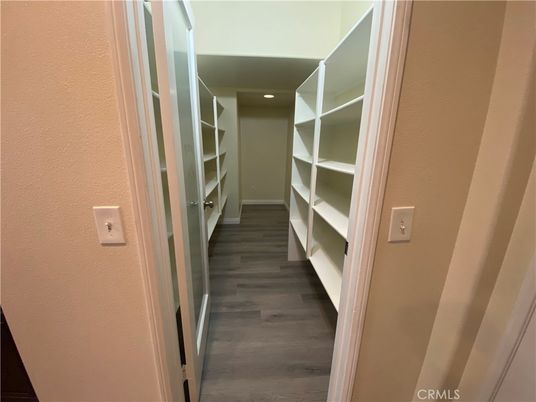 Interior, Walk-in Closets, Wood Texture Flooring