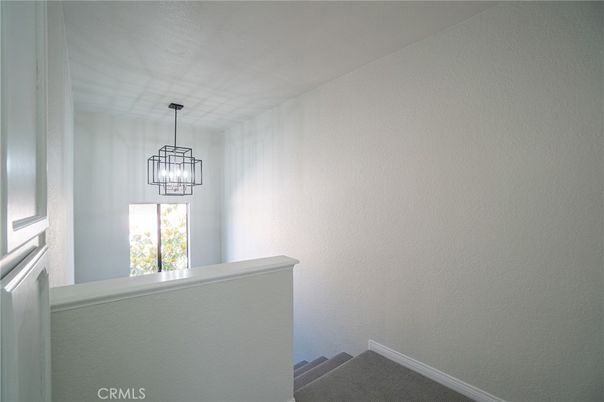 Interior, Pendant Lights