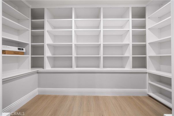 Interior, Walk-in Closets, Wood Texture Flooring