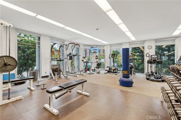 Fitness Equipment, Gym, Interior, Recessed Lighting