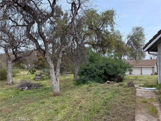 Backyard, Detached Garage, Exterior