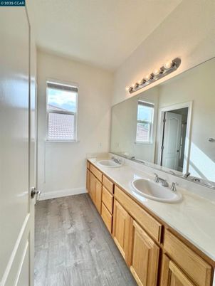 Bathroom, Dual Sink Vanities, Interior, Wood Texture Flooring