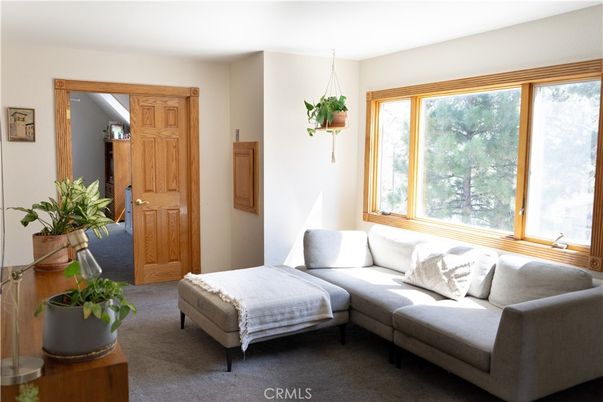 Interior, Pendant Lights