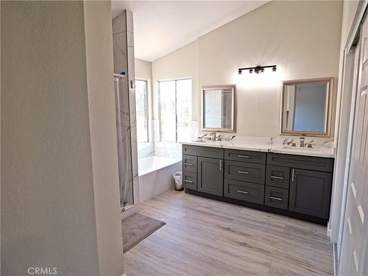 Bathroom, Dual Sink Vanities, Interior, Wood Texture Flooring
