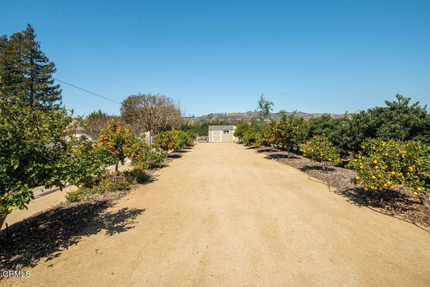Backyard, Detached Garage, Exterior