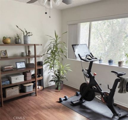 Fitness Equipment, Interior, Wood Texture Flooring
