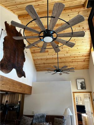 Interior, Wooden Ceilings