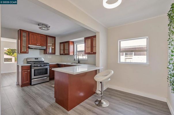 Interior, Kitchen, Stainless Steel Appliances, Wood Texture Flooring