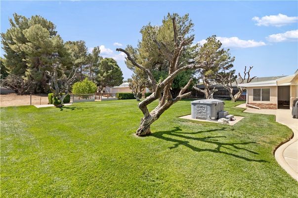 Backyard, Exterior, Hot Tub