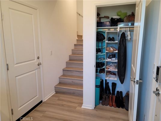 Interior, Walk-in Closets, Wood Texture Flooring