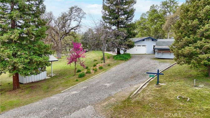 Backyard, Detached Garage, Exterior